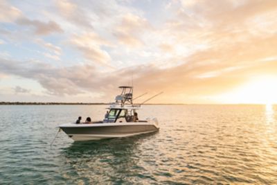 Fishing, Center Console, Cruising & Tender Boats