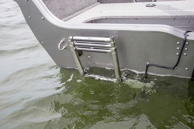 1750 Pro Tiller Image