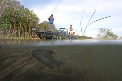 189-Pro-V-GL-Under-Water-Fish