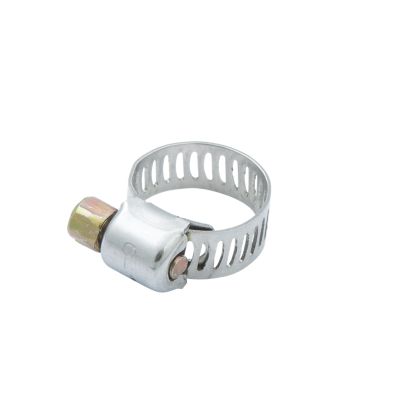 Close-up of a standard micro hose clamp with a perforated band and screw mechanism for secure fastening.