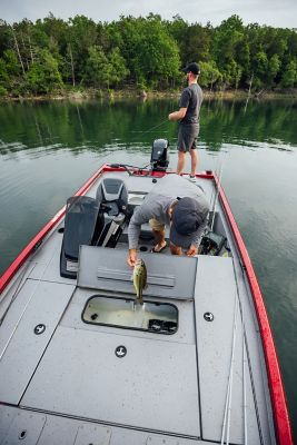 Fisherman Holding Fish Over Livewell on Lowe Stinger 175C, Aerial View