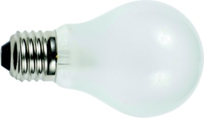 Bulb, Standard Base, 12V, 25W, 2pc