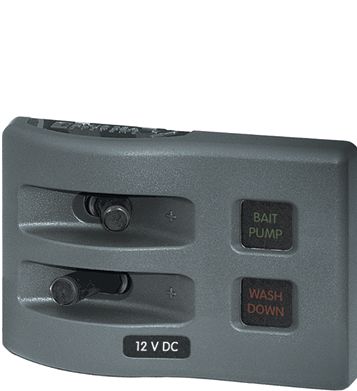 Panel WD 12VDC fused 2 pos gray