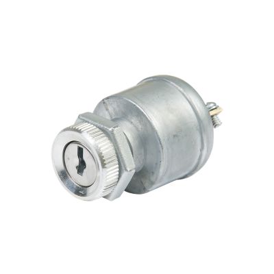 Ignition switch, metal finish, two-position Off-On, with key slot, suitable for 12V systems, automotive or industrial use.