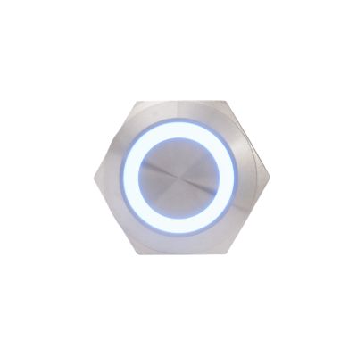 Blue ring-illuminated anti-vandal momentary switch with screw terminal, offering durable and sleek design for secure applications.