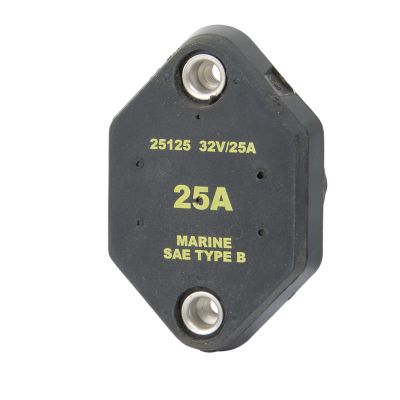 Eaton Bussmann auto reset circuit breaker, panel mount, 25 Amp, 32V, black casing with mounting holes.
