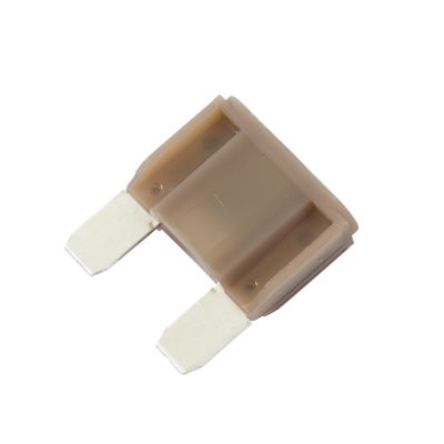 Tan Littelfuse MAXI Fuse 70 Amp, suitable for 32V applications, showcasing dual prongs and robust design.