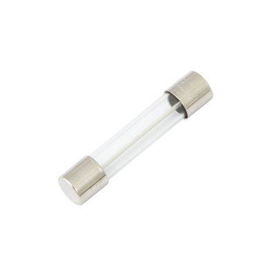 AGC glass fuse with silver-toned metal caps, ideal for protecting circuits in electronic devices.