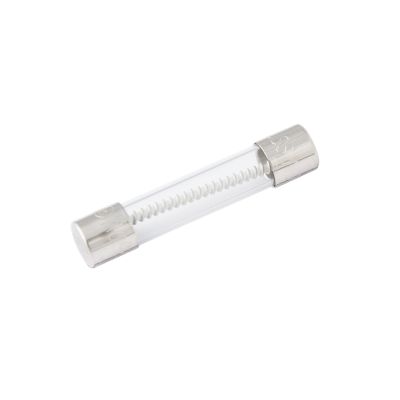 Glass fuse with metal ends, featuring a spiral wire inside, designed for time delay functionality in electrical circuits.