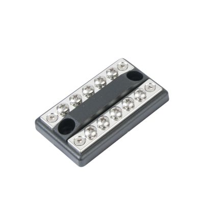 Blue Sea Systems Dual Common BusBar with connected screws, designed for electrical distribution, 100 Amp capacity.