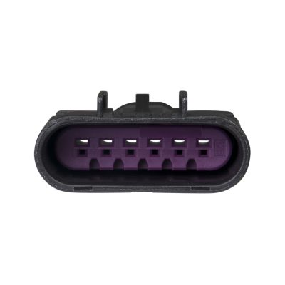GT 150 Male Housing connector with purple interior, featuring 6-way and 8-way configurations, viewed from front.