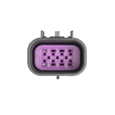 Male connector housing with 8-way design, featuring a gray outer casing and purple interior, shown from the front.