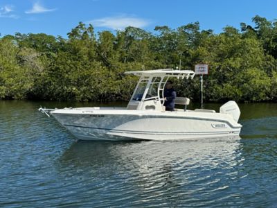 Tampa boats