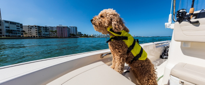 boating checklist