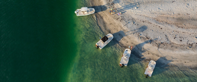 boston whaler