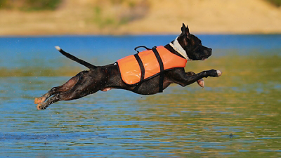 Choosing a Life Jacket