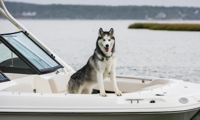 Autumn Boating