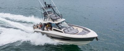 Boston whaler deals outrage