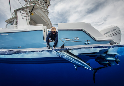 Boston-Whaler-Boat-Type-Fishing