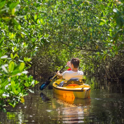 Four Mile Cove Ecological Preserve