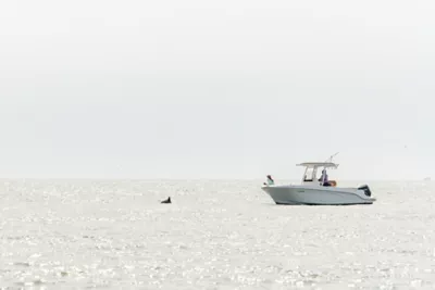 Enjoying the ocean views from the boat