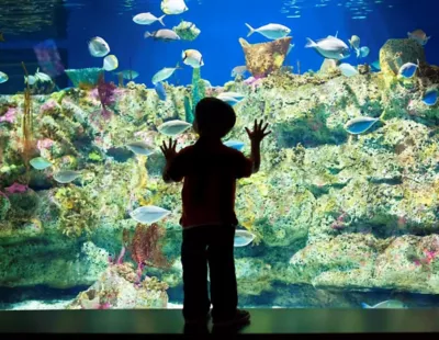 North Carolina Aquarium at Fort Fisher 