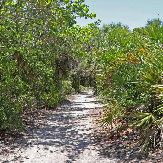 nature park in cove cay