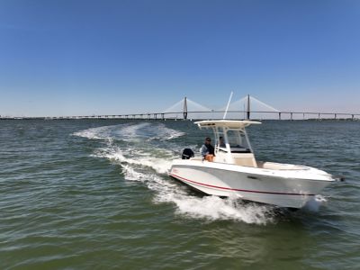 Cruising Tampa