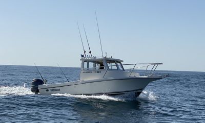 Tampa boats