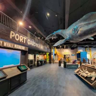 whale hanging from the ceiling inside the museum