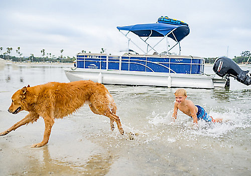 Children And Dog Playing On Beach Pontoon In Backdrop Mercury Motor