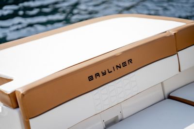 Bayliner Brown And White Leather Seats