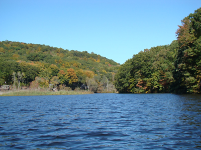 Hamburg Cove