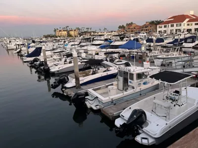 view of the boats lined up at the dock at sunset