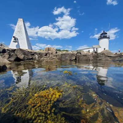 The Goslings Islands 