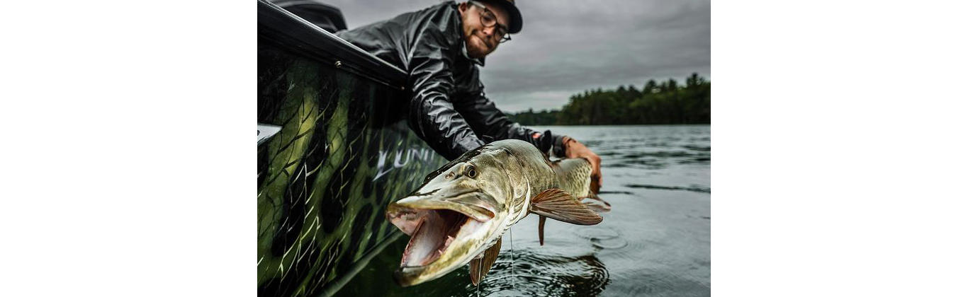 Fisherman Pulling a Musky into His Boat