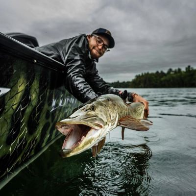 Fisherman Pulling a Musky into His Boat