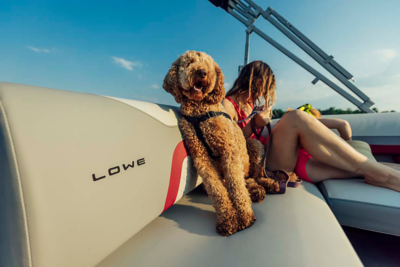 LW BoldDesign SS21CL Design 09 07 2021