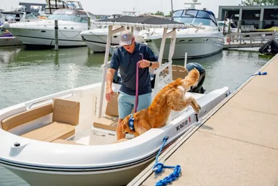 dog jumping onto boat at Granville Island