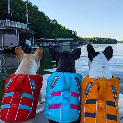 dog-lifevest-safety-tips