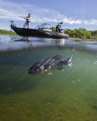 Largemouth Bass Fish Biting Bait