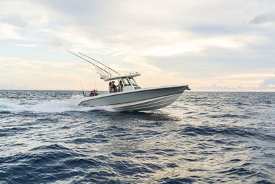 Boston whaler outrage discount