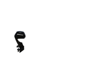 single-engine