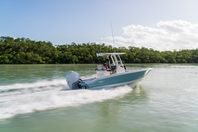 Boston Whaler is Swiss Army knife of boats: Lake Erie boat of the