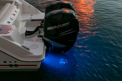 Lighting - underwater LED (dual engine)