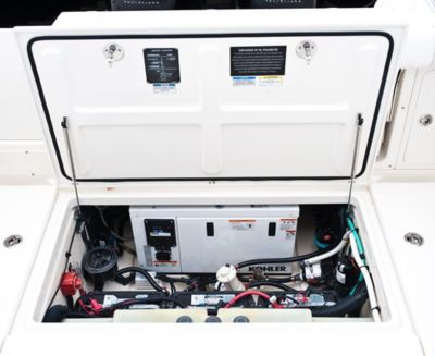 Generator (220v)