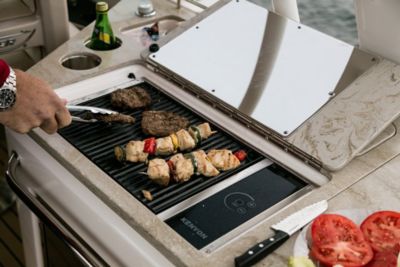 Electric grill (120V)