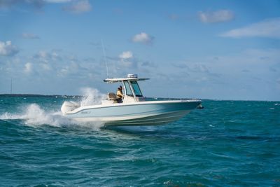 boston-whaler-holiday-prospecting