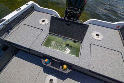 cl-pim_cl_cf175-1750-fish-hawk-wt-e4a4307-detail