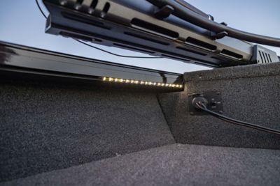 cl-pim_cl_cf185-1850-fish-hawk-e4a6733-detail